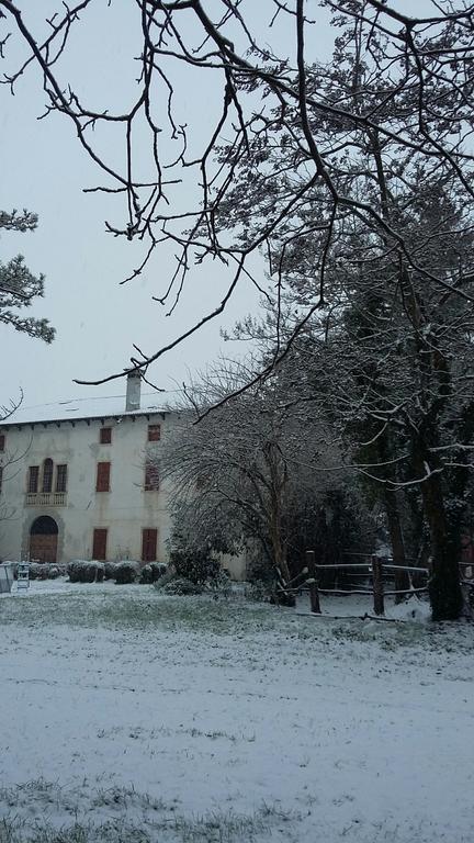 Mainardi