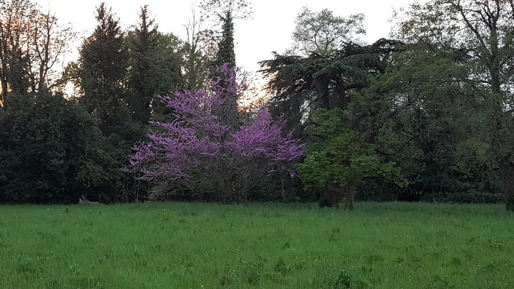 Casa di campagna Mainardi